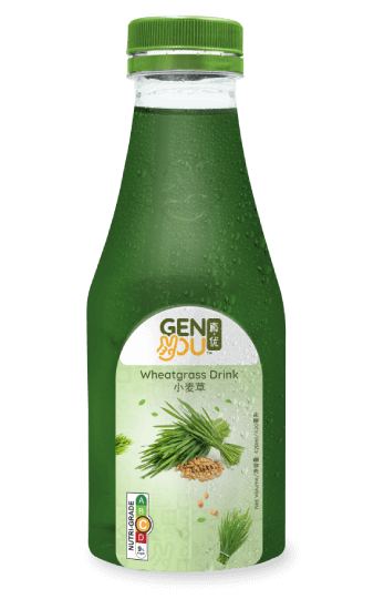 Wheatgrass Drink